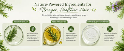 ABLIXIR RootRevive™ Hair Ritual | ALPS Rosemary Mist + 30-Day Guide